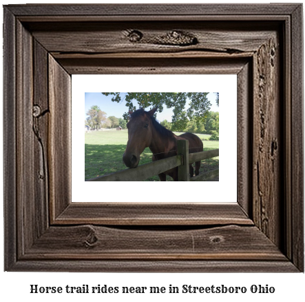 horse trail rides near me in Streetsboro, Ohio